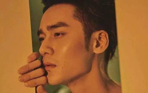 爱娱乐的吃瓜君,揭秘娱乐圈那些不为人知的幕后故事